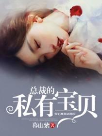 豪门风云总裁的私有宝贝