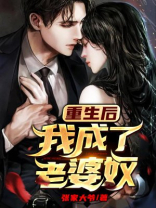 重生后我成了老婆奴的小说