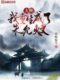 大明:我重生成了朱允 第235章
