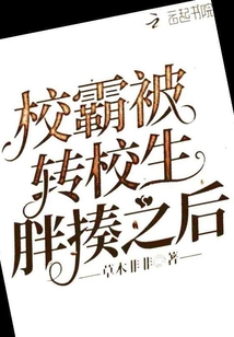 校霸被围殴