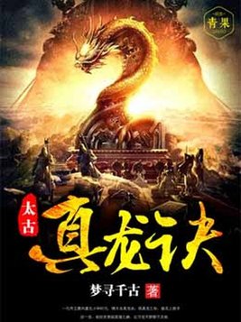 林飞羽 太古真龙诀