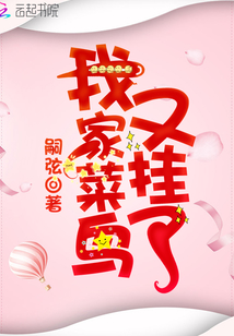 我菜鸟一个