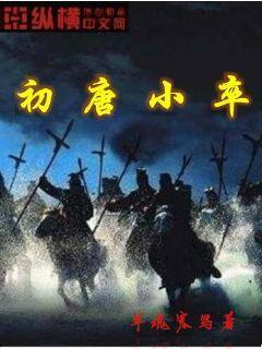 初唐小卒 军魂寒鸟TXT