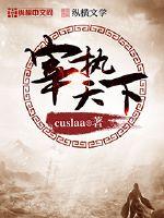宰执天下小说TXT下载