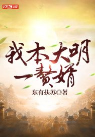 我本大明一赘婿顾怀几个老婆