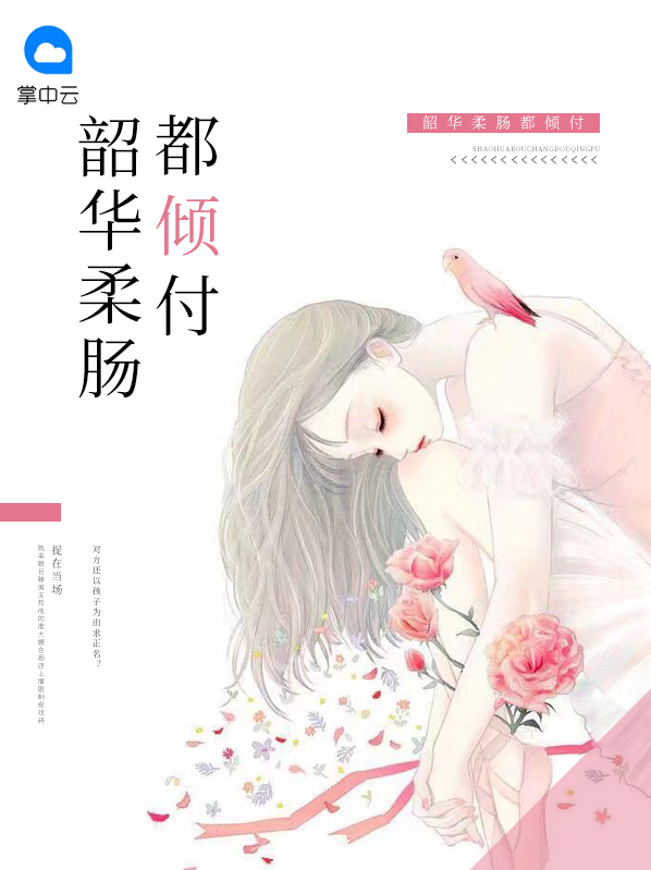 韶华的前一句是什么