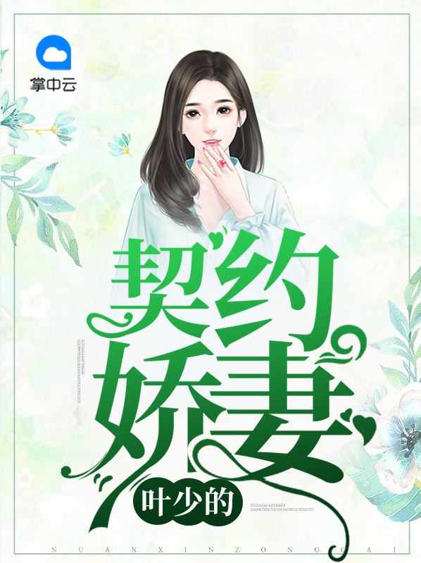 叶少宠妻如命全文免费阅读