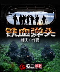 铁血弹头小说阅读