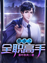 都市之全职高手江澜下载