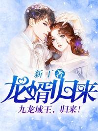 龙婿归来电视剧免费观看