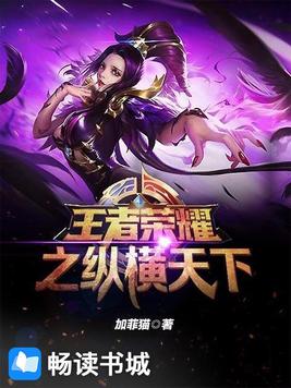 王者荣耀之纵横天下陆雪