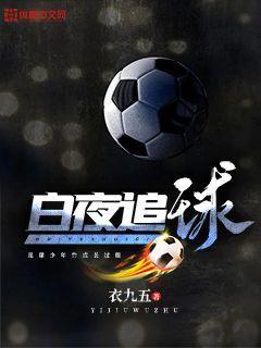 白夜追程 小说