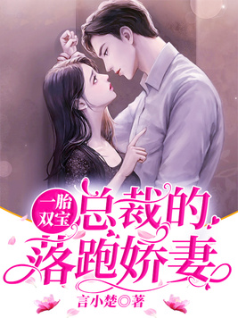 一胎双宝:总裁的落跑娇妻