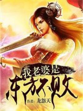 我老婆是东方不败下载小说