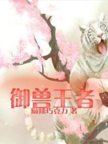 御兽王者卡片