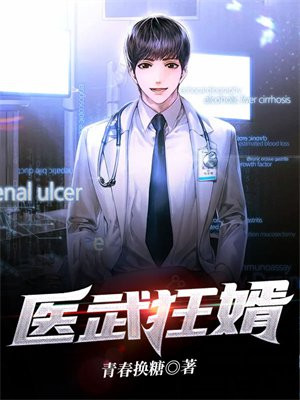 医武狂婿TXT下载