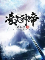 凌天神帝全集完整版