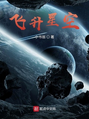 飞升星空有女主吗
