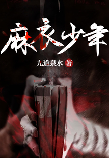 麻衣少年电子书下载