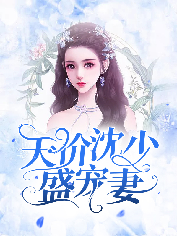 盛少的天价免费阅读全文