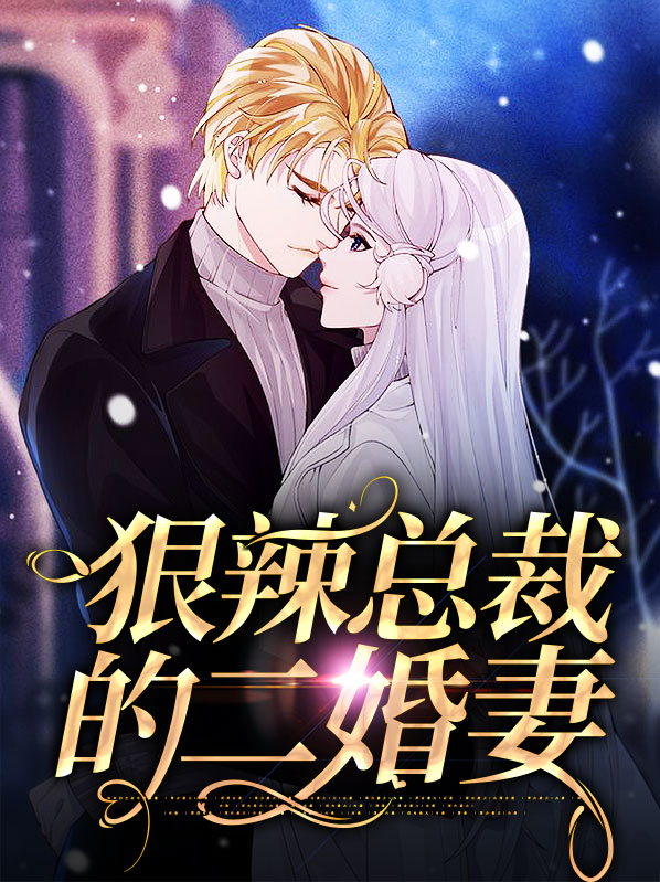 狠辣总裁的二婚妻人物