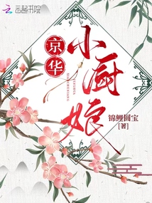 京华小厨娘TXT下载安装
