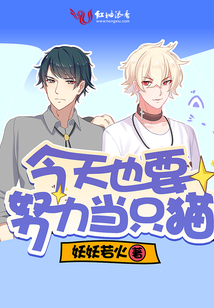 今天也要努力当只猫电视剧在线观看
