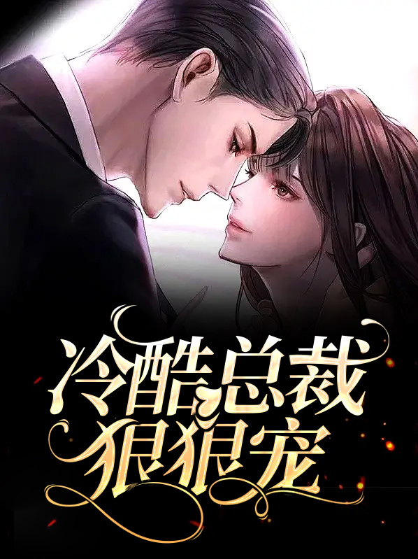 冷酷总裁的小说