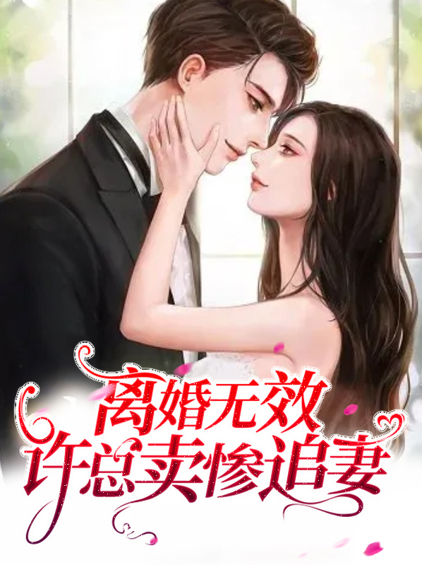 小说离婚无效