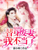 离婚吧,我是替身