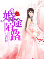 婚途陌路高宏姜漫全文免费阅读