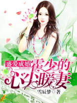 盛爱成婚霍少的心尖暖妻小说全文免费阅读