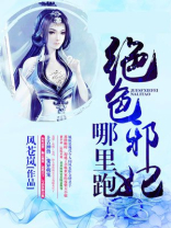 绝色邪妃哪里跑 风苍岚
