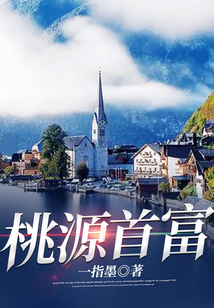 桃源首富 小说