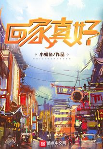 回家真好 刘德华