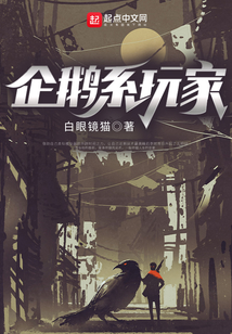 企鹅系玩家123