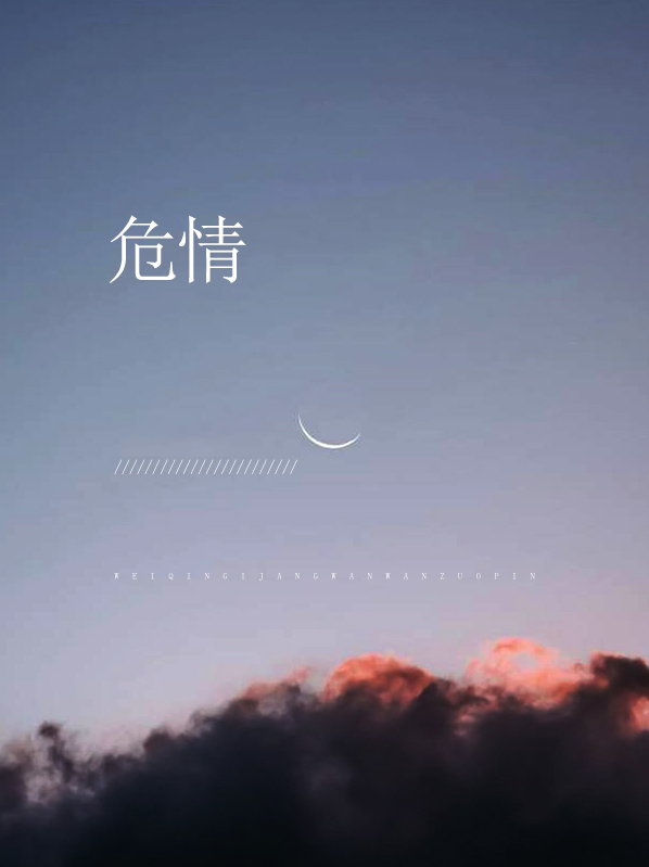 危情谍影