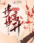 宠妃她步步高升