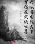 穿越武侠练国术的小说