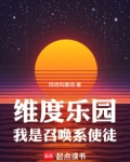维度乐园，我是召唤系使徒