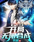 灵气复苏:开局无限合成 小说