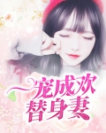 一宠成婚