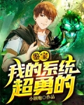 鉴宝:我的系统超勇的,改名了