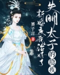 新婚夜,我治好了失明太子的隐疾私心浮现