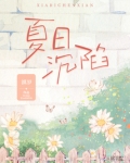 夏日沉陷小说免费阅读