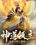神道领主小说