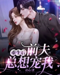 重生后前夫总想和我复婚