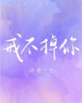 戒不掉你的温柔叶落无心