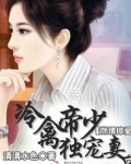 燃情掠爱：冷禽帝少独宠妻