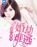 豪门婚宠攻略